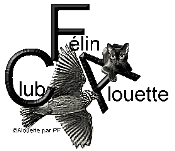 Click Here to go to the club's web page