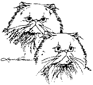 Club web site