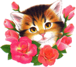 Click for online entry